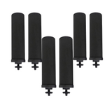 Filtres à Charbon Actif Ionisé Euroguard Premium 2X - Compatibles avec Tous les Filtres Berkey