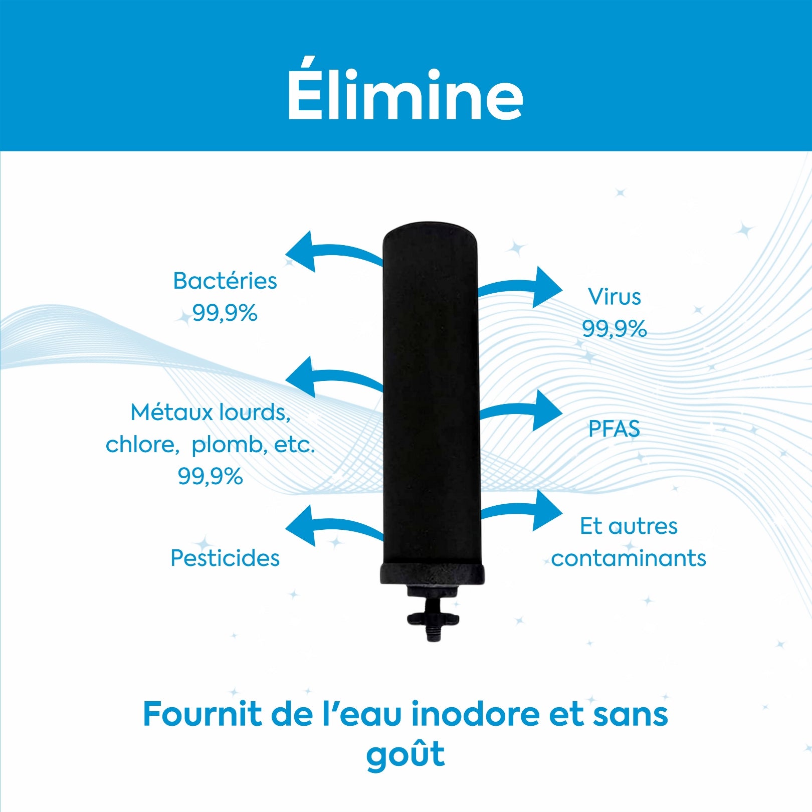 Filtres à Charbon Actif Ionisé Euroguard Premium 2X - Compatibles avec Tous les Filtres Berkey - EuroGuard Filtre