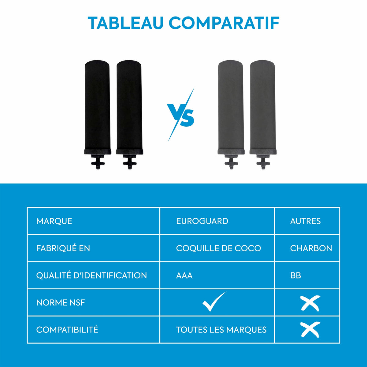 Filtres à Charbon Actif Ionisé Euroguard Premium 2X - Compatibles avec Tous les Filtres Berkey - EuroGuard Filtre