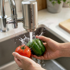 Filtre à Eau pour Robinet euroguard (Inox) – Réduit Chlore, Goût & Impuretés