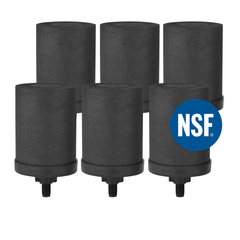 Euroguard Premium 2X ionisierte Aktivkohlefilter – kompatibel mit allen Berkey-Filtern